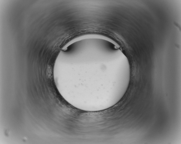 X0000099540025200806131159