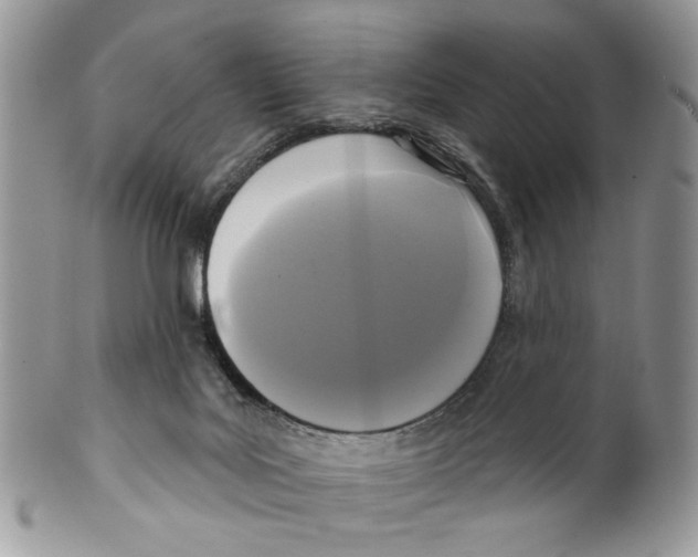 X0000099540027200806131159