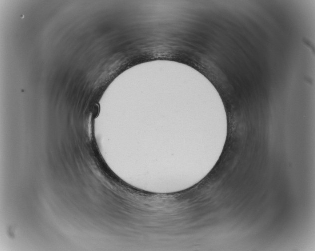 X0000099540028200806131159