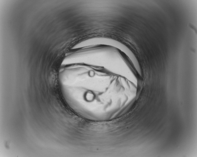 X0000099540029200806131159