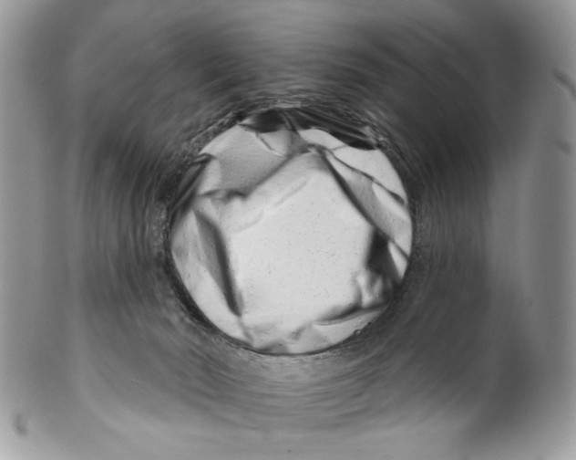 X0000099540030200806131159