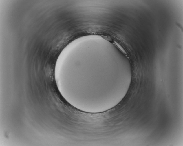 X0000099540031200806131159