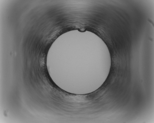 X0000099540032200806131159