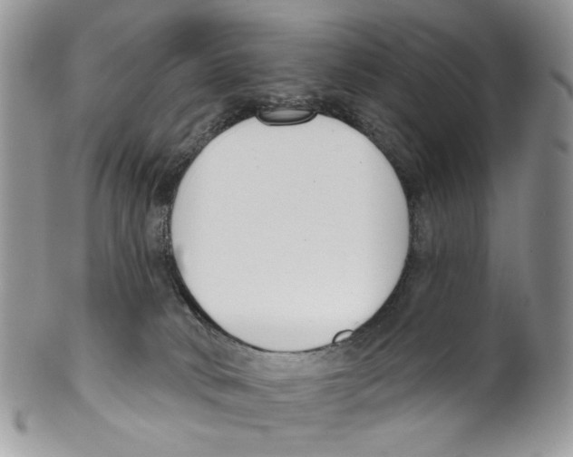 X0000099540034200806131159