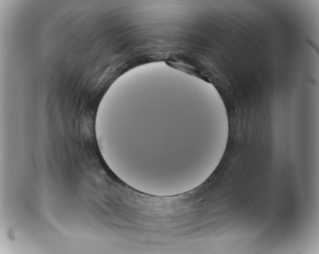 X0000099540035200806131159