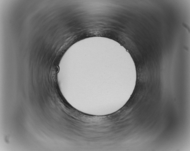 X0000099540036200806131159