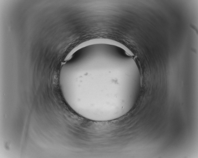 X0000099540037200806131159