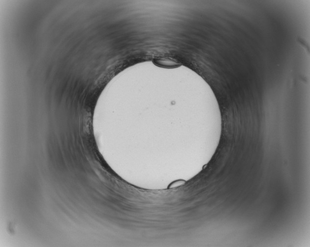 X0000099540038200806131159