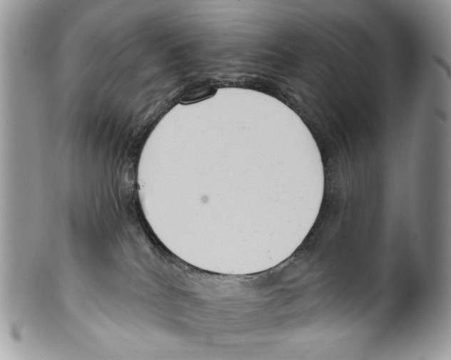 X0000099540040200806131159