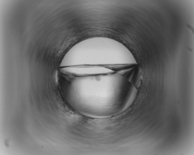 X0000099540041200806131159