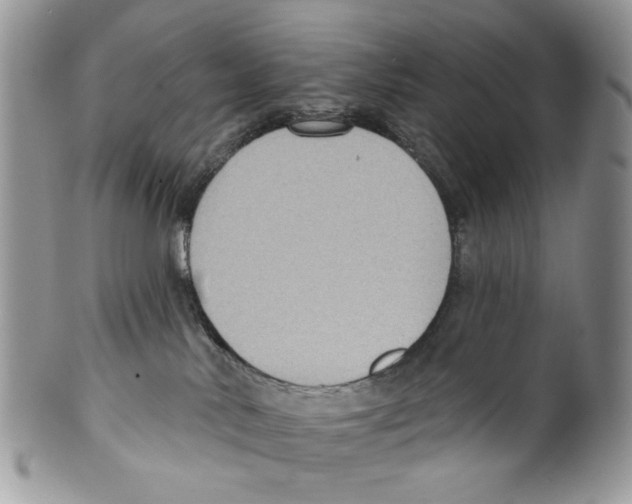 X0000099540042200806131159