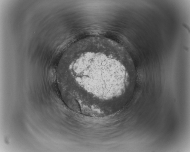 X0000099540043200806131159