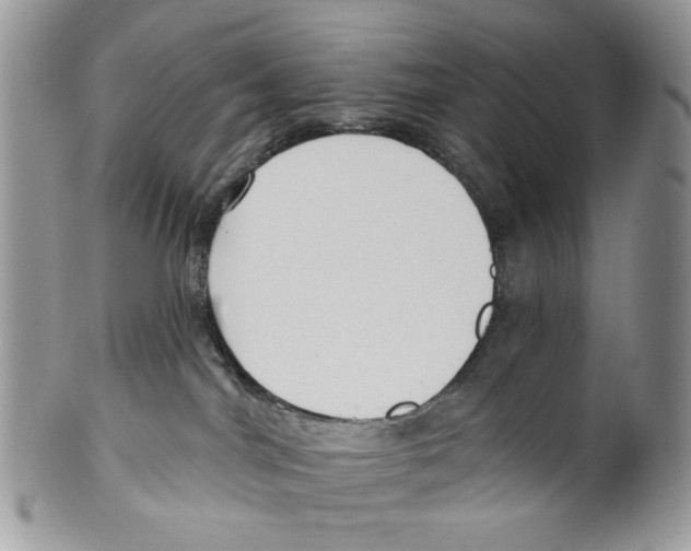 X0000099540044200806131159