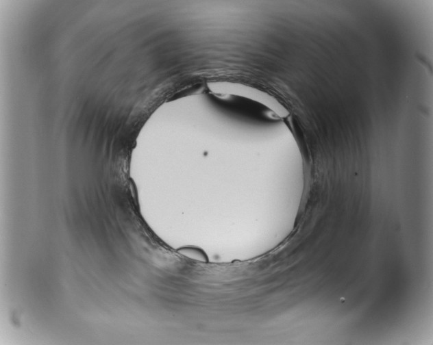 X0000099540045200806131159