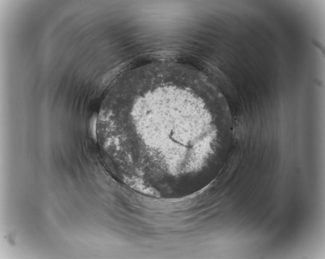 X0000099540047200806131159