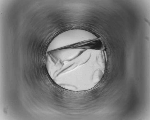 X0000099540048200806131159