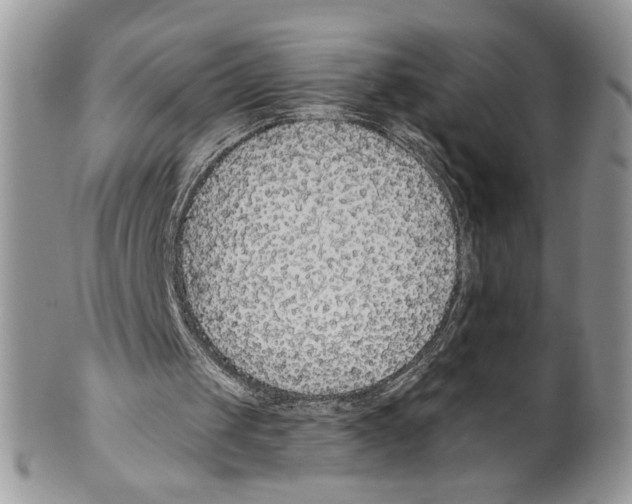 X0000099540049200806131158