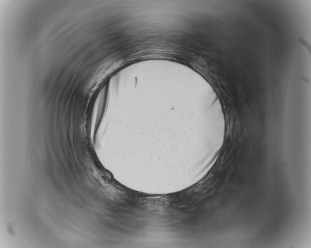 X0000099540050200806131158