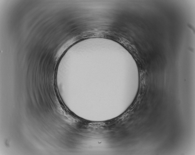 X0000099540051200806131158