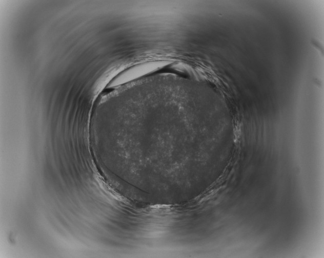 X0000099540052200806131158