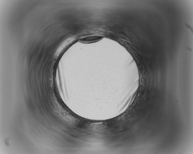 X0000099540054200806131158