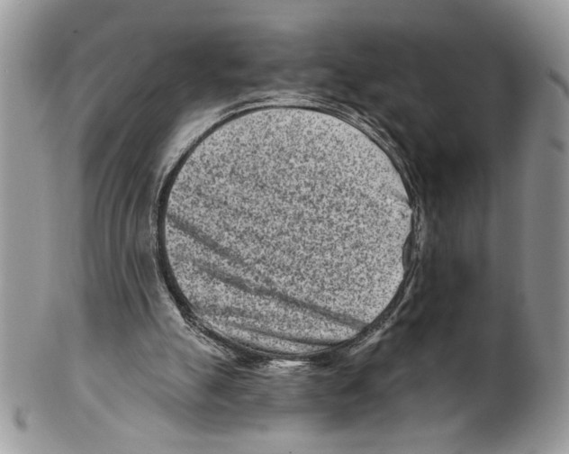 X0000099540055200806131158