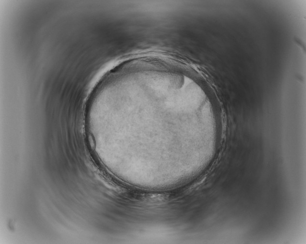 X0000099540056200806131158