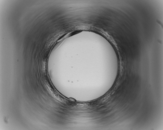 X0000099540057200806131158