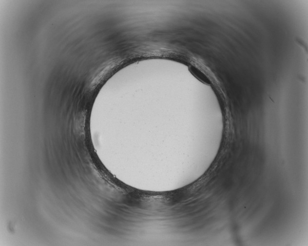 X0000099540058200806131159