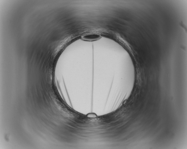 X0000099540059200806131159