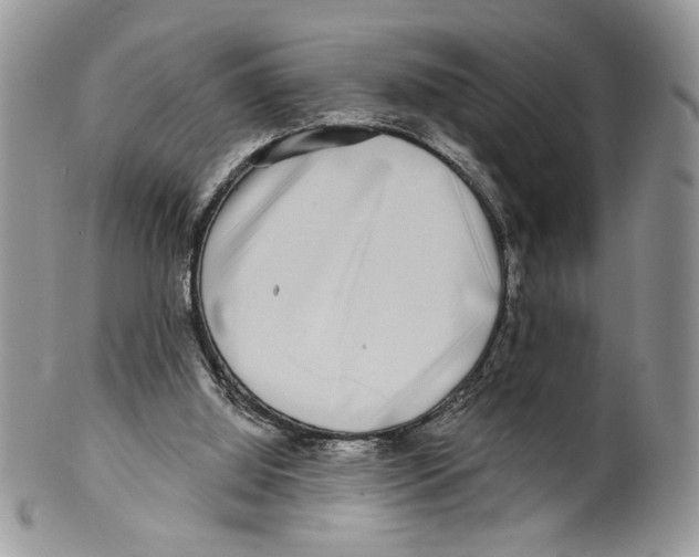 X0000099540060200806131159