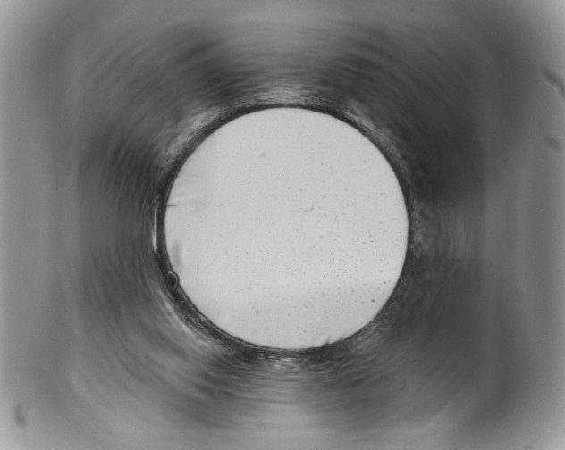 X0000099540062200806131159