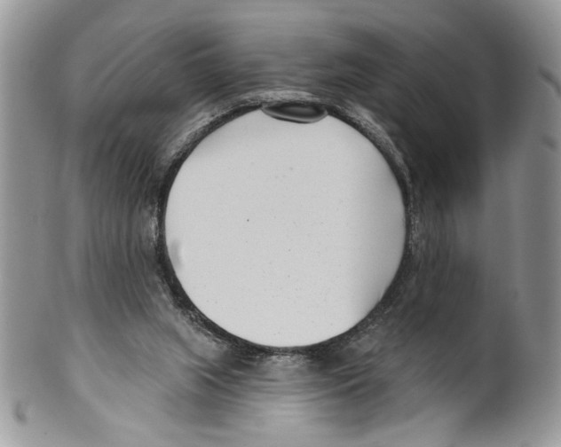 X0000099540063200806131159