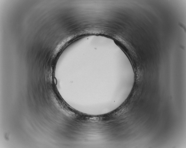 X0000099540064200806131159