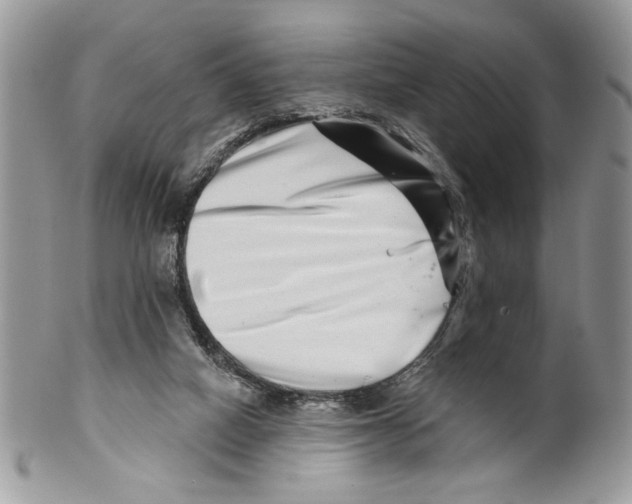 X0000099540066200806131159