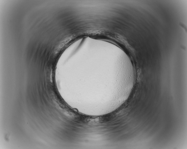 X0000099540068200806131159