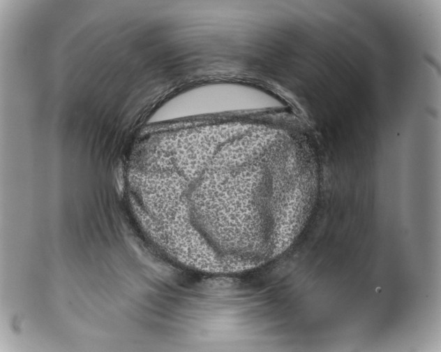 X0000099540069200806131159