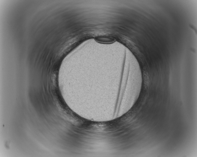 X0000099540071200806131159