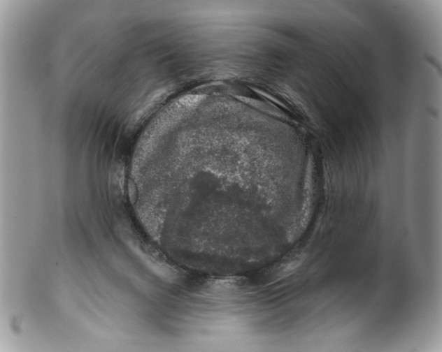 X0000099540072200806131159