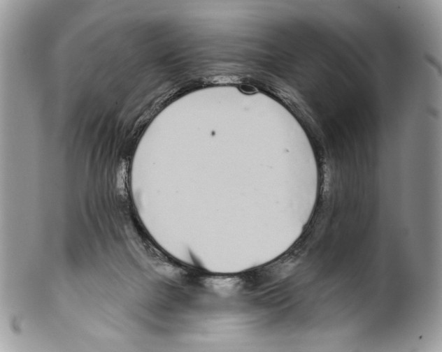 X0000099540073200806131159