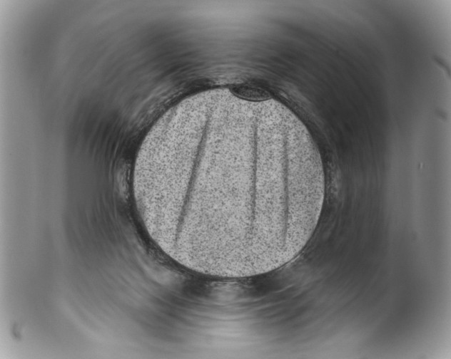 X0000099540074200806131159