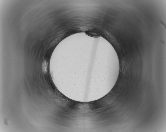 X0000099540075200806131159