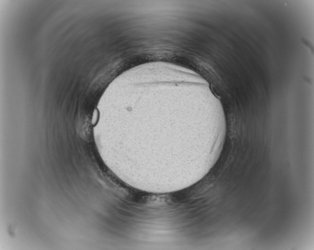 X0000099540077200806131159