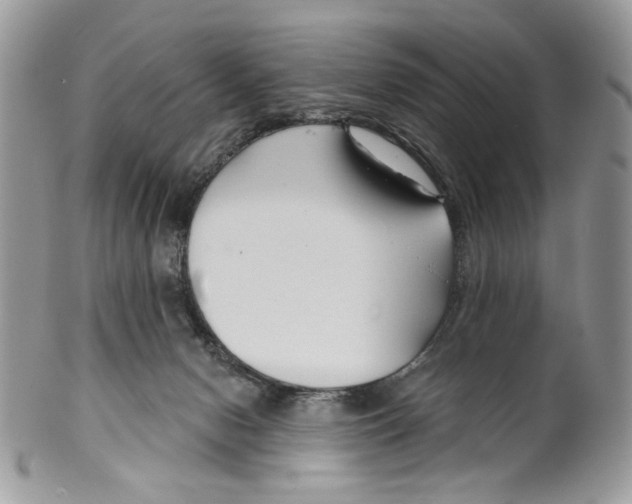 X0000099540078200806131159