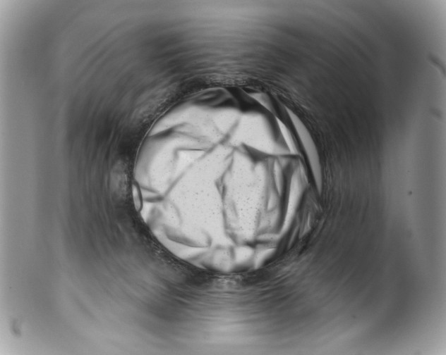 X0000099540080200806131159