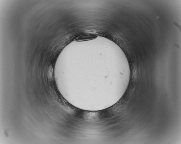 X0000099540081200806131159