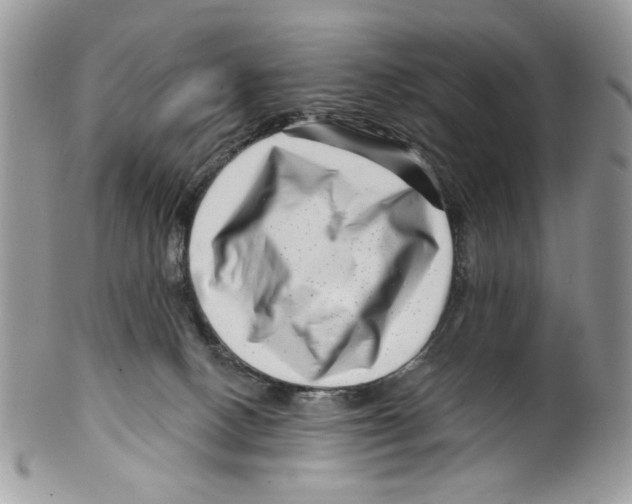 X0000099540082200806131159