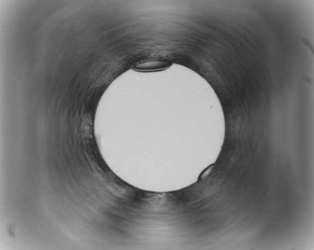 X0000099540083200806131159