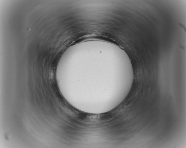 X0000099540084200806131159