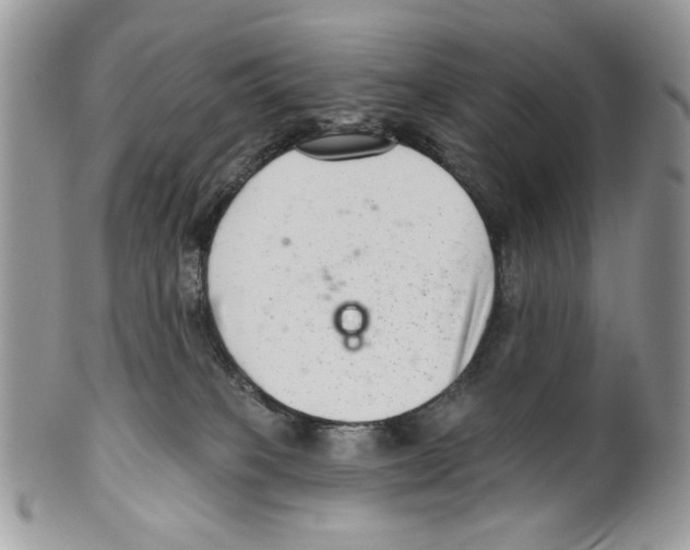 X0000099540085200806131159